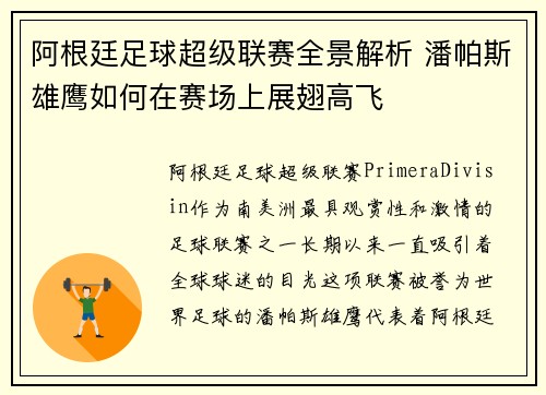 阿根廷足球超级联赛全景解析 潘帕斯雄鹰如何在赛场上展翅高飞